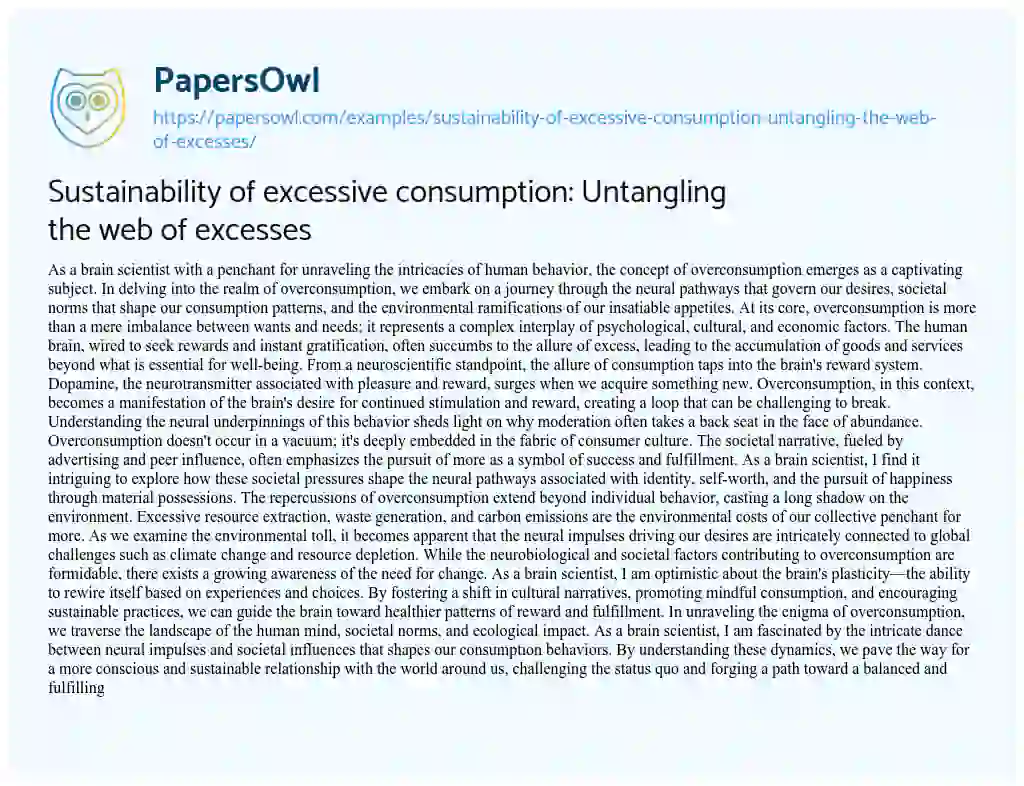 Essay on Sustainability of Excessive Consumption: Untangling the Web of Excesses