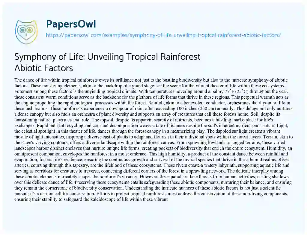 Essay on Symphony of Life: Unveiling Tropical Rainforest Abiotic Factors
