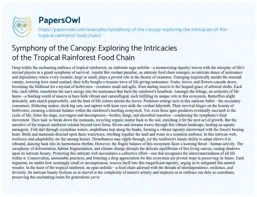 Essay on Symphony of the Canopy: Exploring the Intricacies of the Tropical Rainforest Food Chain