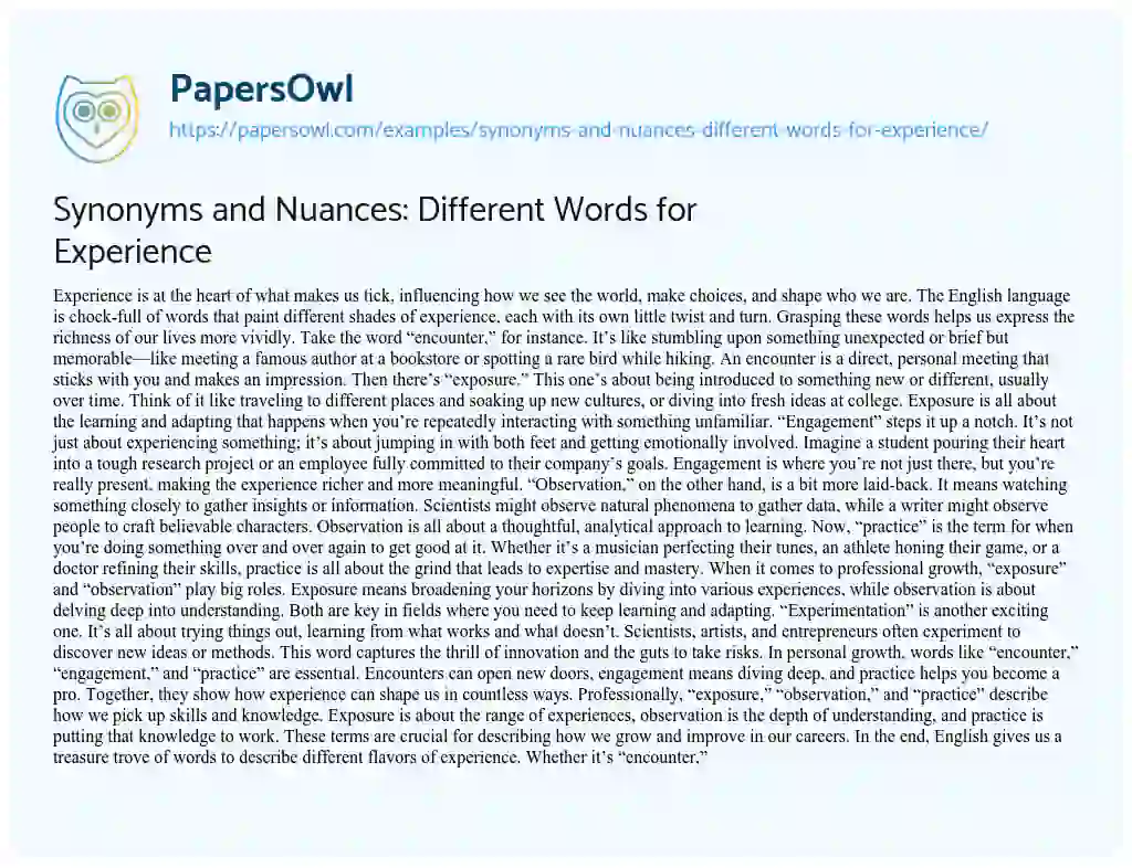 Essay on Synonyms and Nuances: Different Words for Experience