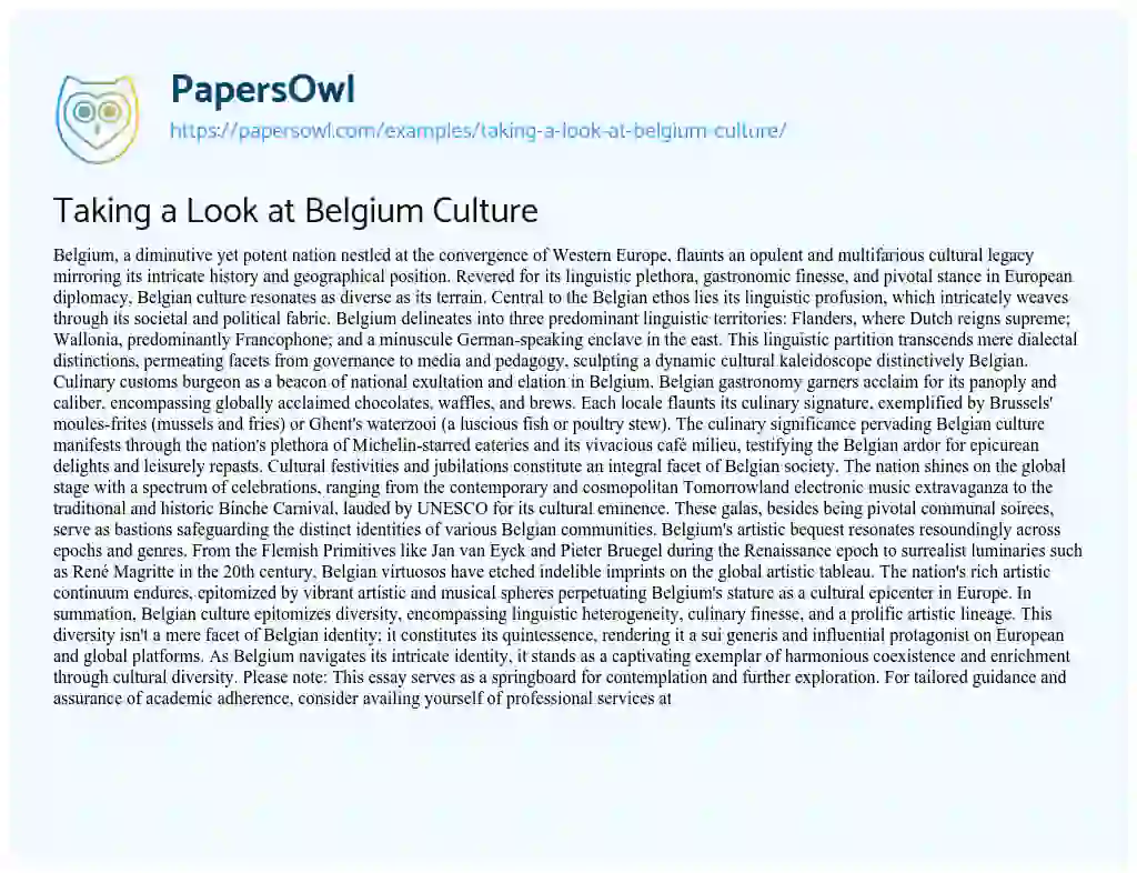 Essay on Taking a Look at Belgium Culture