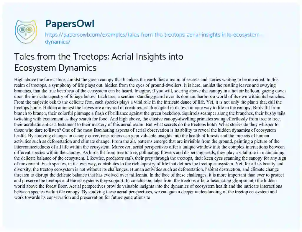 Essay on Tales from the Treetops: Aerial Insights into Ecosystem Dynamics
