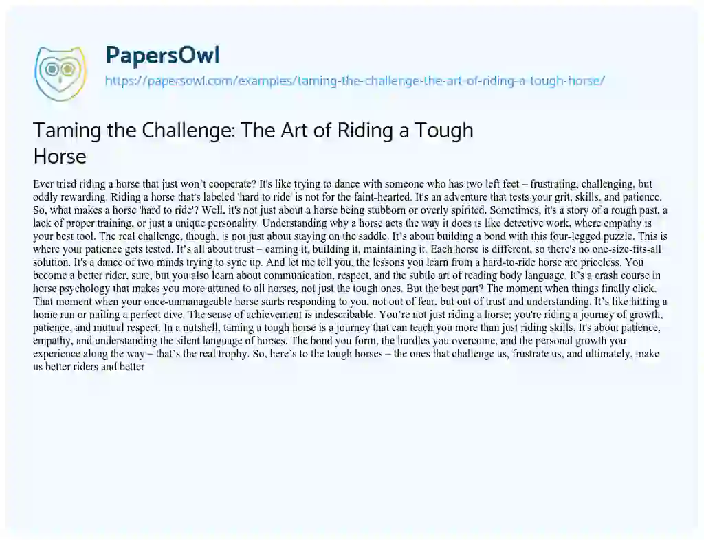 Essay on Taming the Challenge: the Art of Riding a Tough Horse