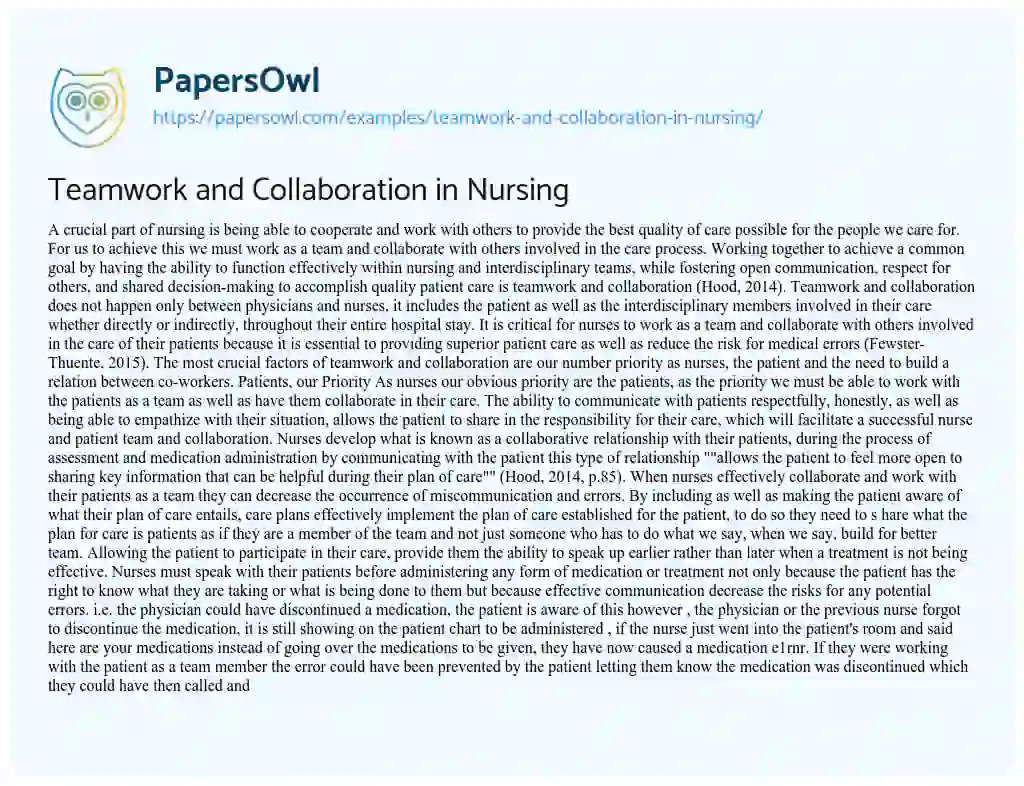 Essay on Teamwork and Collaboration in Nursing
