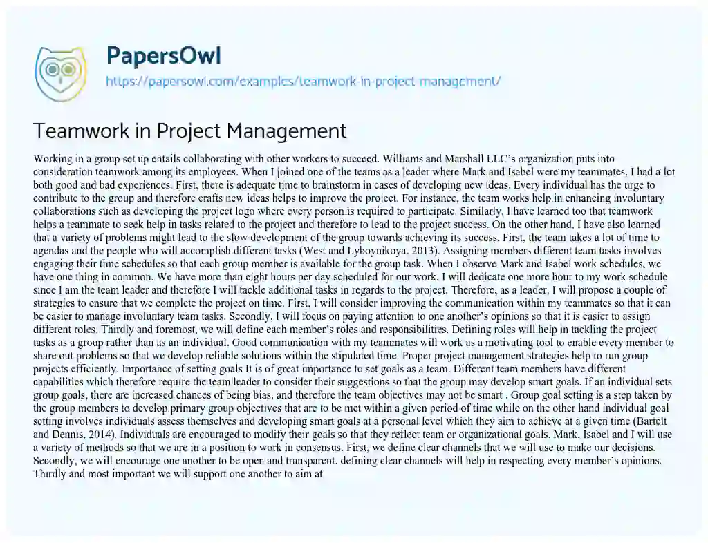 Essay on Teamwork in Project Management
