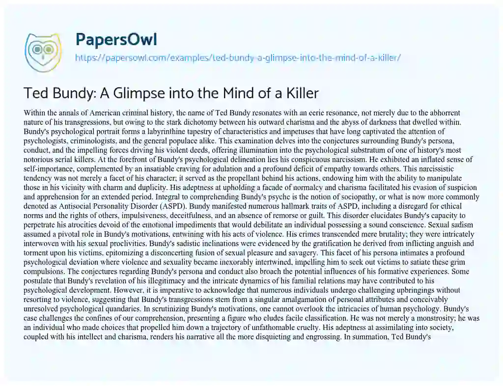 Essay on Ted Bundy: a Glimpse into the Mind of a Killer
