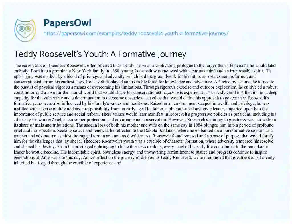 Essay on Teddy Roosevelt’s Youth: a Formative Journey