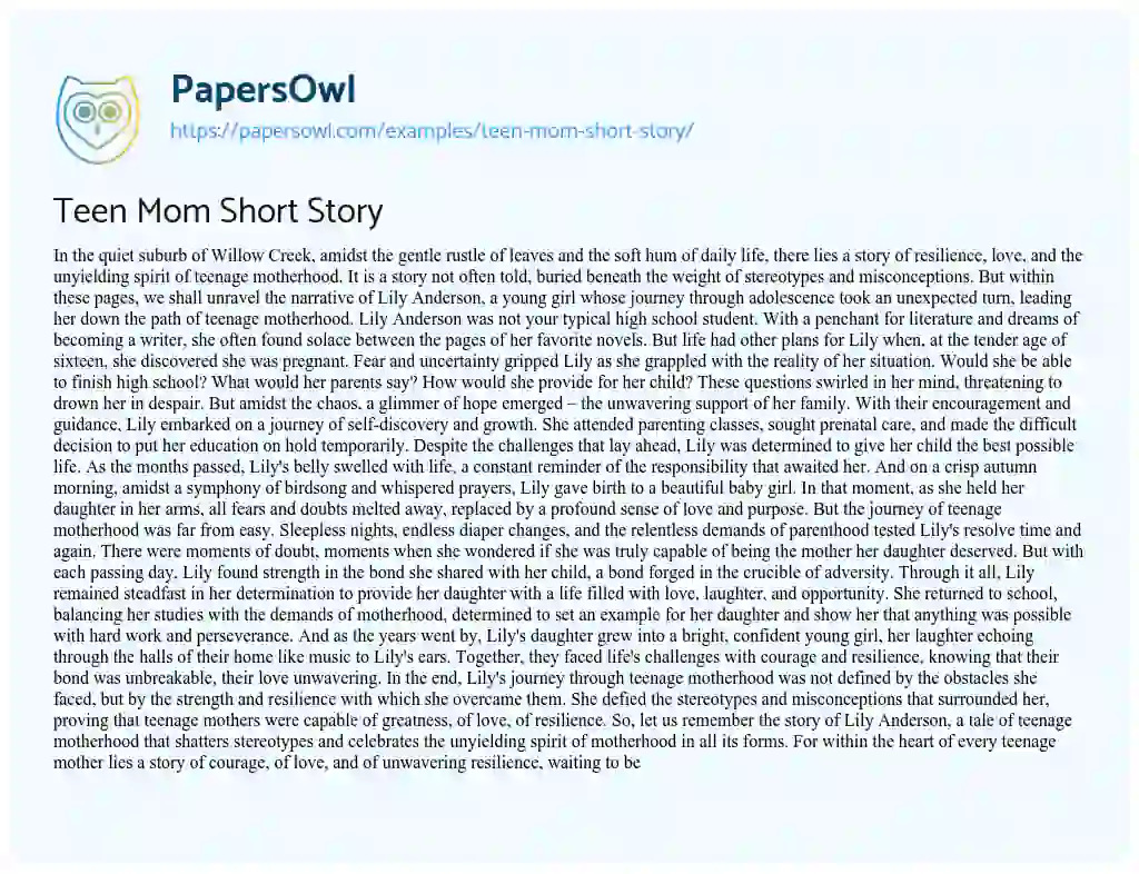 Essay on Teen Mom Short Story