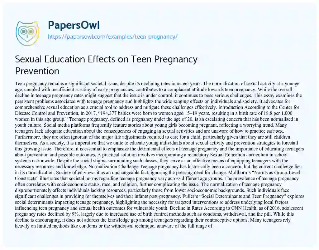 Essay on Teen Pregnancy