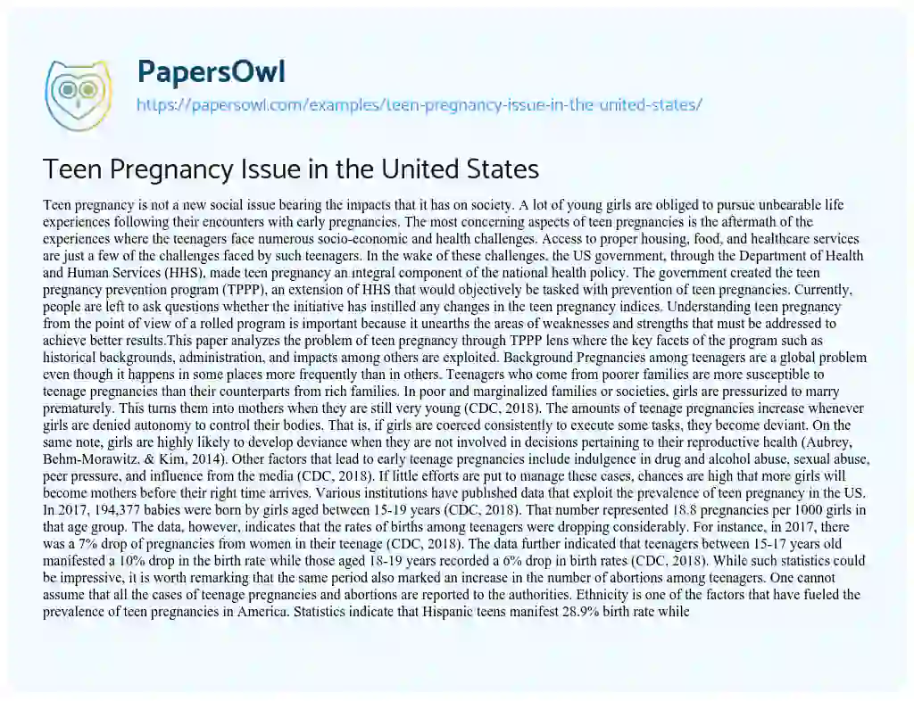 Essay on Teen Pregnancy Issue in the United States