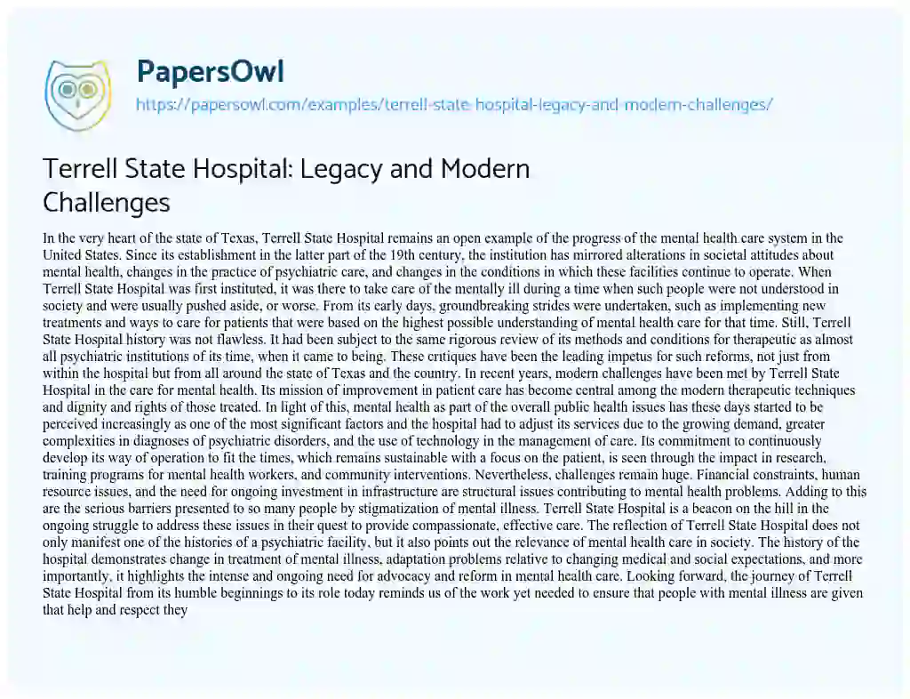 Essay on Terrell State Hospital: Legacy and Modern Challenges