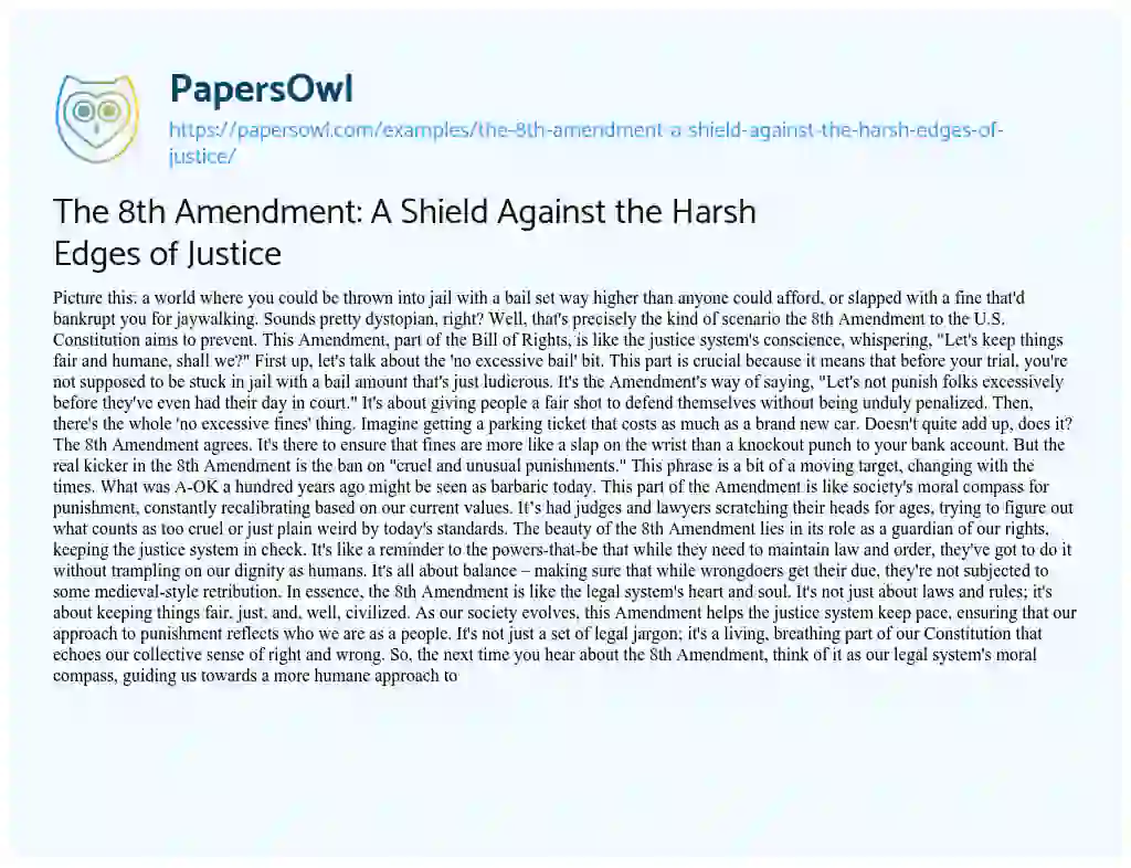 Essay on The 8th Amendment: a Shield against the Harsh Edges of Justice