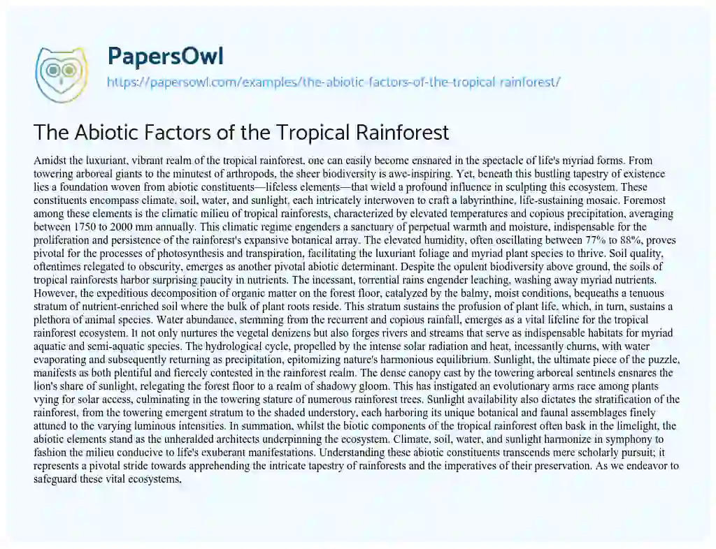 Essay on The Abiotic Factors of the Tropical Rainforest