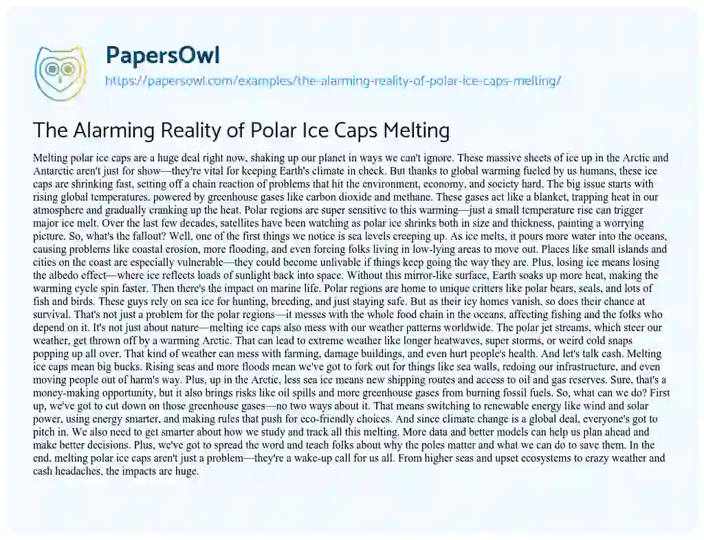 Essay on The Alarming Reality of Polar Ice Caps Melting