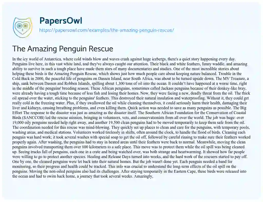 Essay on The Amazing Penguin Rescue