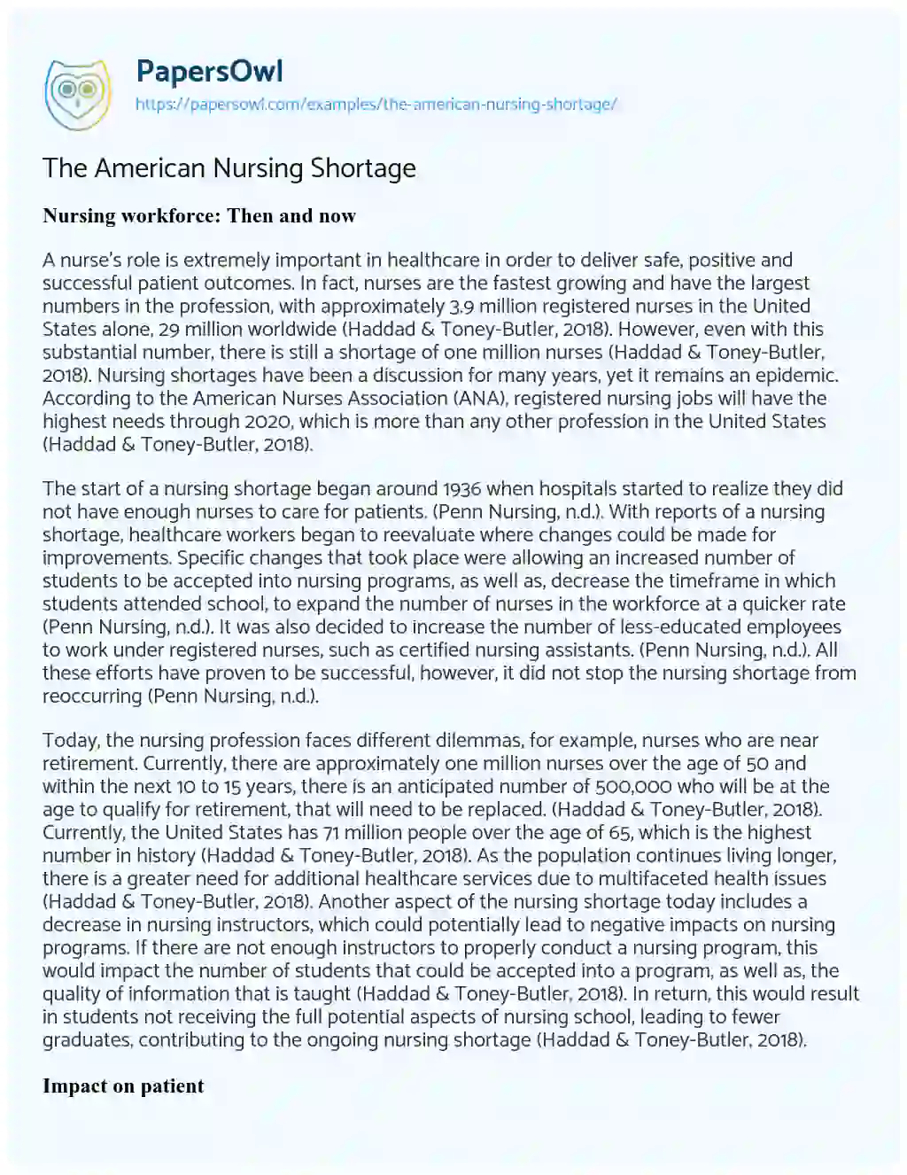 Essay on The American Nursing Shortage