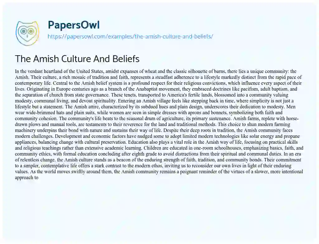 Essay on The Amish Culture and Beliefs