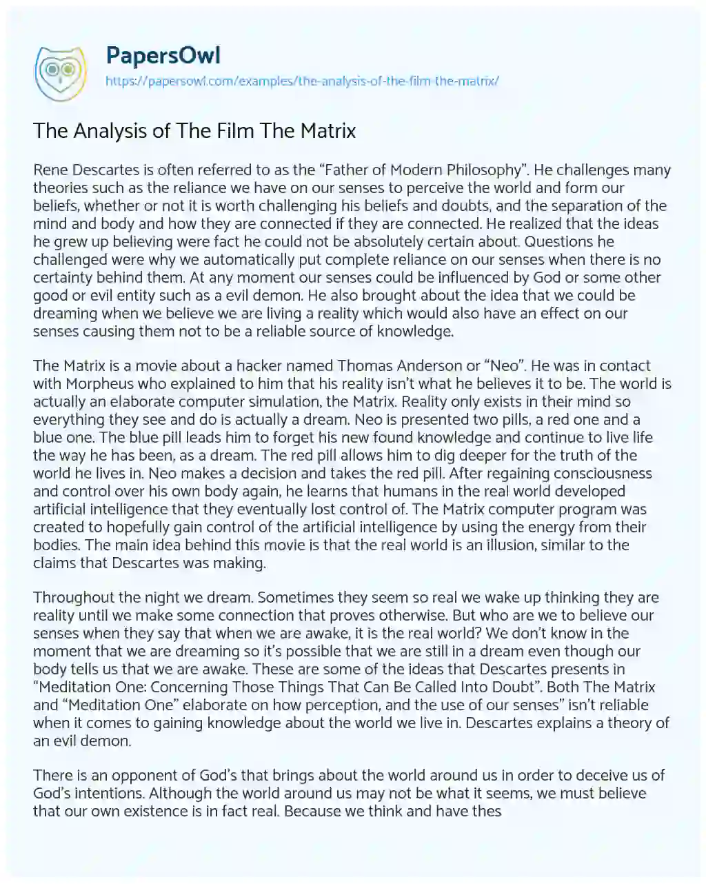 The Analysis of the Film the Matrix essay