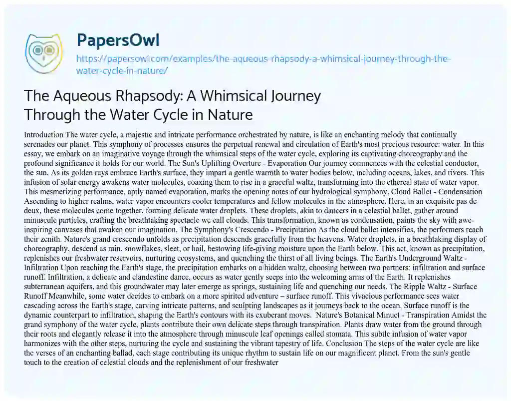 Essay on The Aqueous Rhapsody: a Whimsical Journey through the Water Cycle in Nature