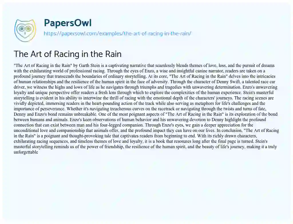 Essay on The Art of Racing in the Rain