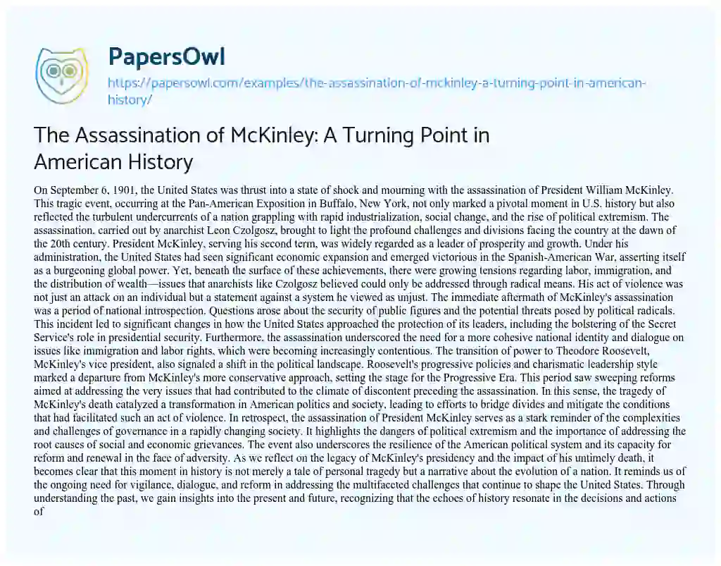 Essay on The Assassination of McKinley: a Turning Point in American History