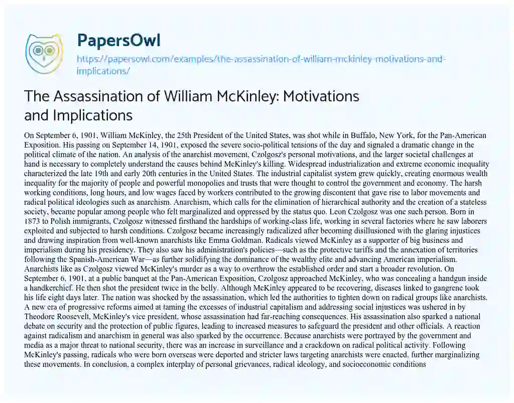 Essay on The Assassination of William McKinley: Motivations and Implications