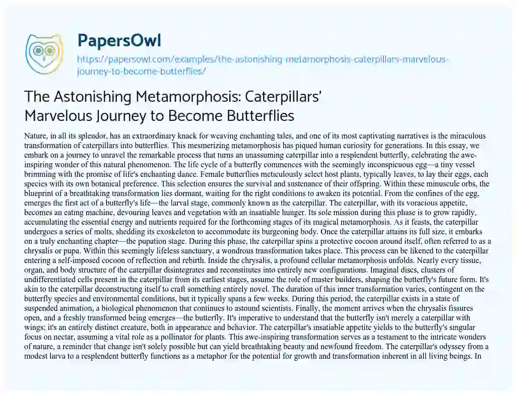 Essay on The Astonishing Metamorphosis: Caterpillars’ Marvelous Journey to Become Butterflies