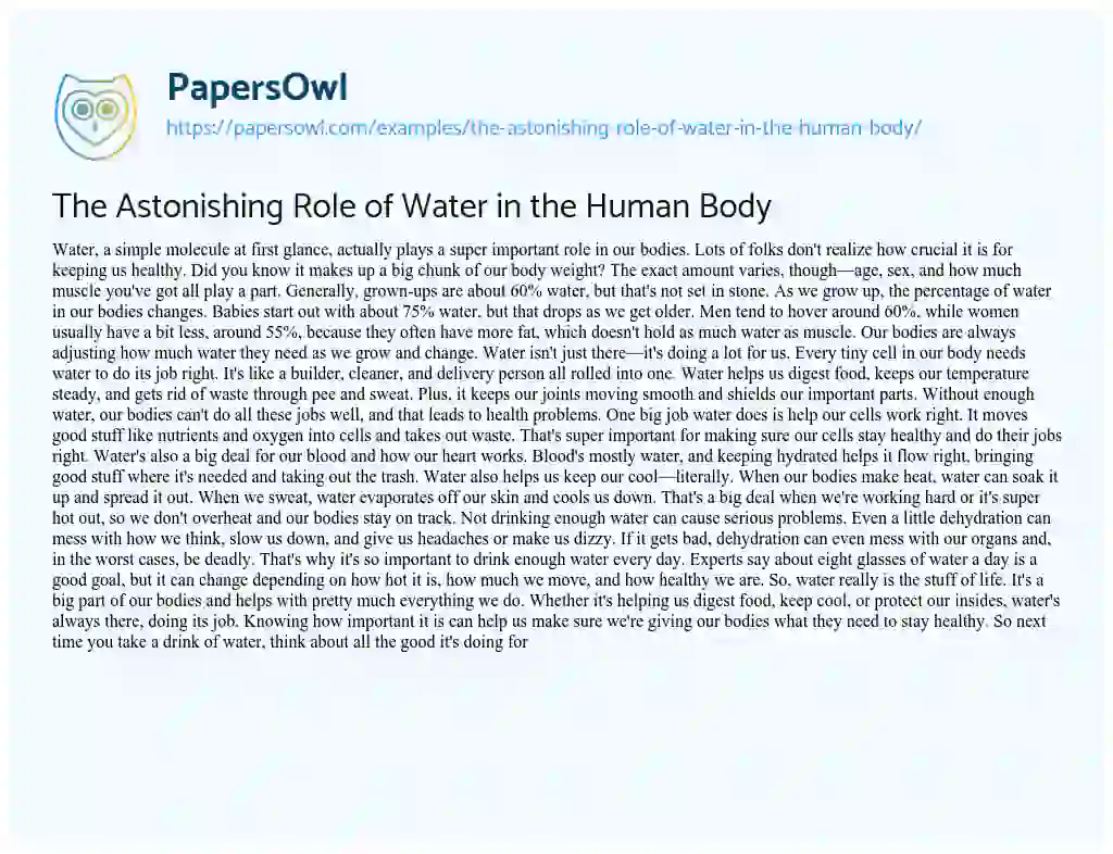 Essay on The Astonishing Role of Water in the Human Body