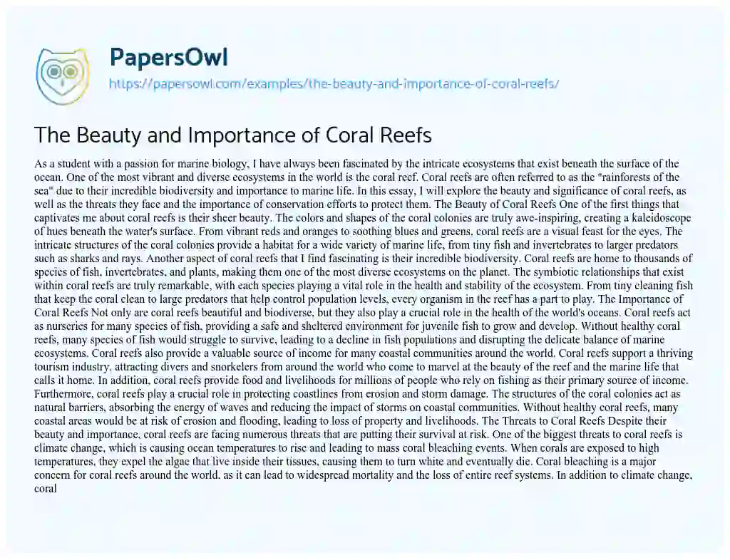 Essay on The Beauty and Importance of Coral Reefs