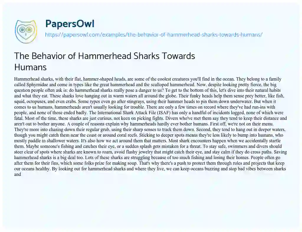 Essay on The Behavior of Hammerhead Sharks Towards Humans