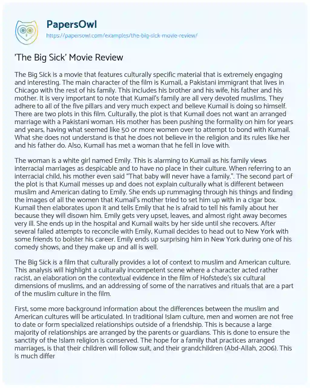 ‘The Big Sick’ Movie Review essay