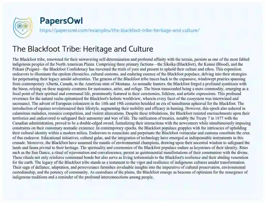 Essay on The Blackfoot Tribe: Heritage and Culture