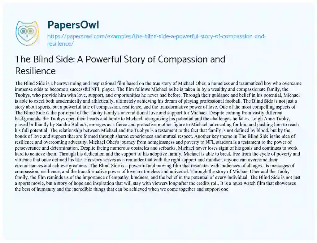 Essay on The Blind Side: A Powerful Story of Compassion and Resilience