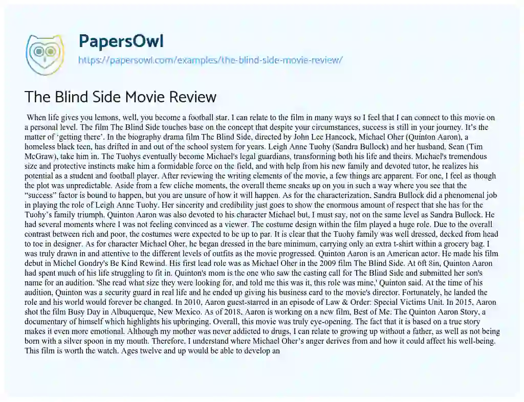 Essay on The Blind Side Movie Review