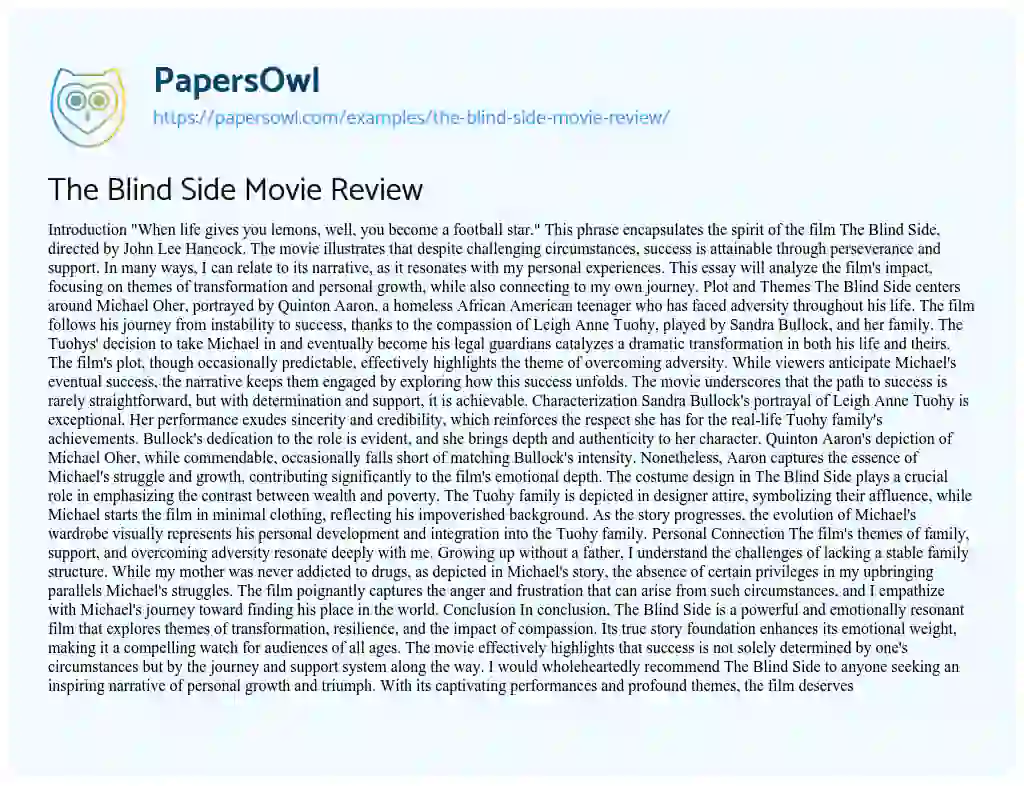 Essay on The Blind Side Movie Review