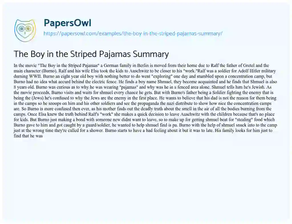 mengen Mannelijkheid diefstal The Boy in the Striped Pajamas Summary - Free Essay Example - 359 Words |  PapersOwl.com