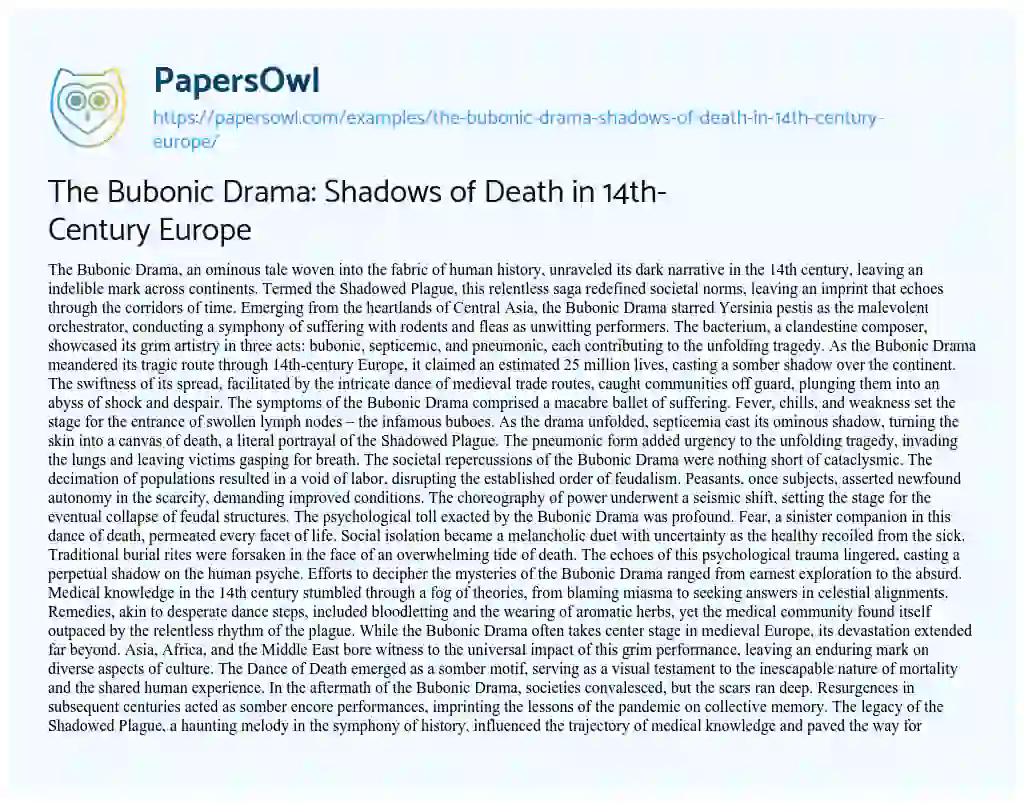 Essay on The Bubonic Drama: Shadows of Death in 14th-Century Europe