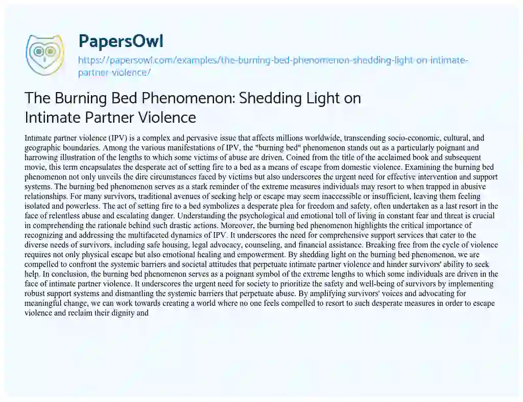 Essay on The Burning Bed Phenomenon: Shedding Light on Intimate Partner Violence
