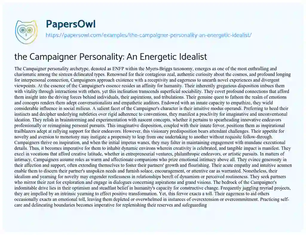 Essay on the Campaigner Personality: An Energetic Idealist