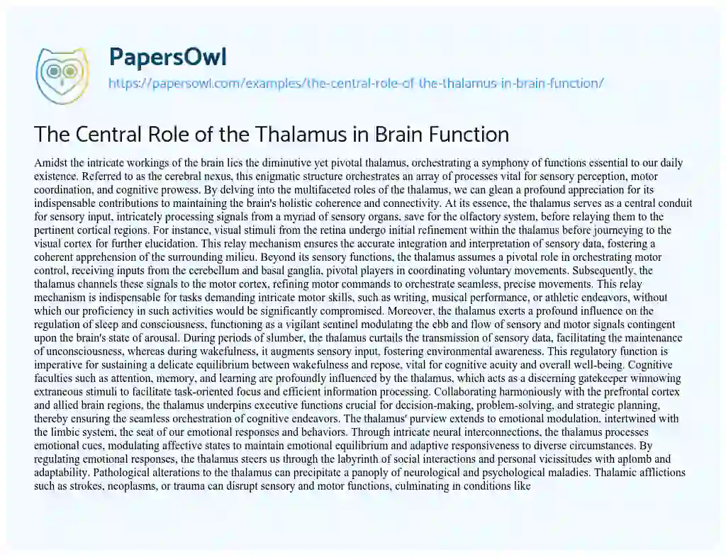 Essay on The Central Role of the Thalamus in Brain Function