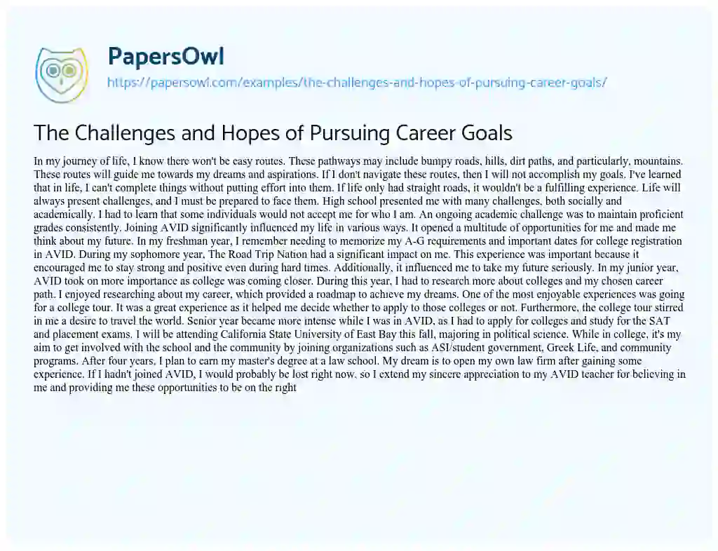 Essay on The Challenges and Hopes of Pursuing Career Goals