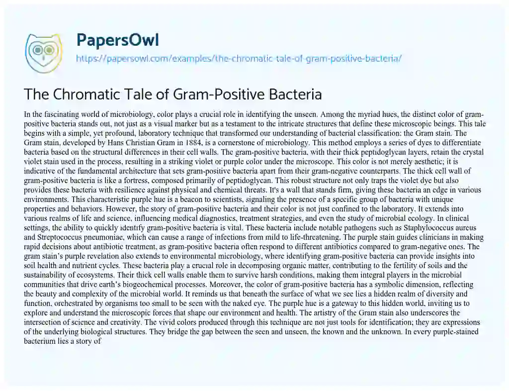 Essay on The Chromatic Tale of Gram-Positive Bacteria