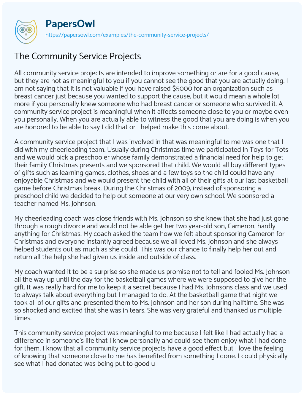 The Community Service Projects essay