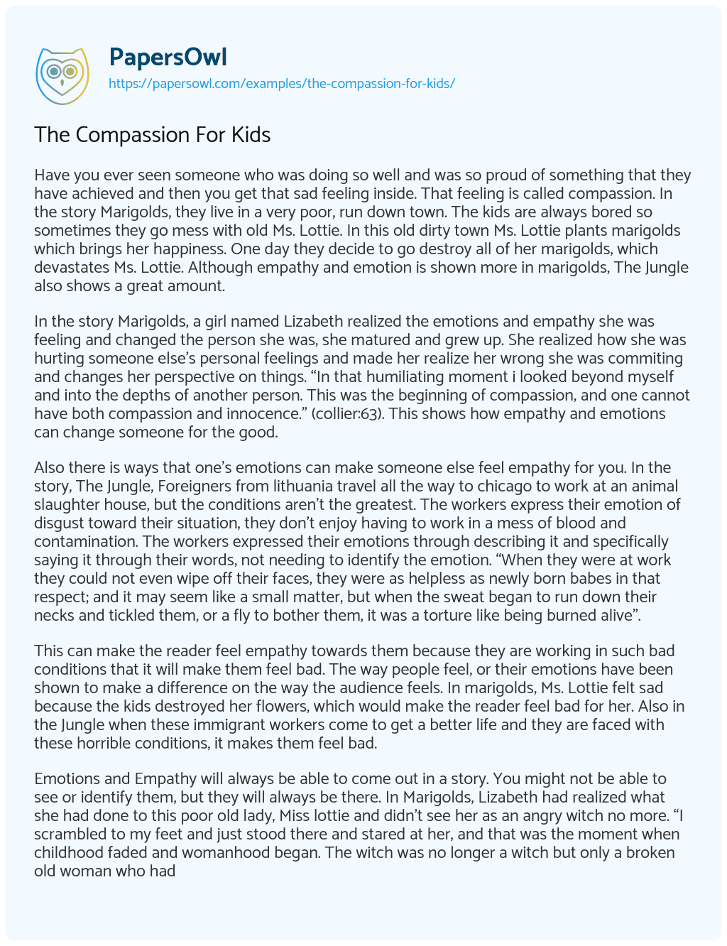 Essay on The Compassion for Kids