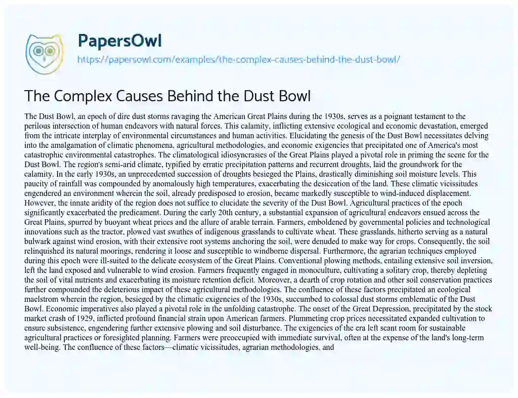Essay on The Complex Causes Behind the Dust Bowl