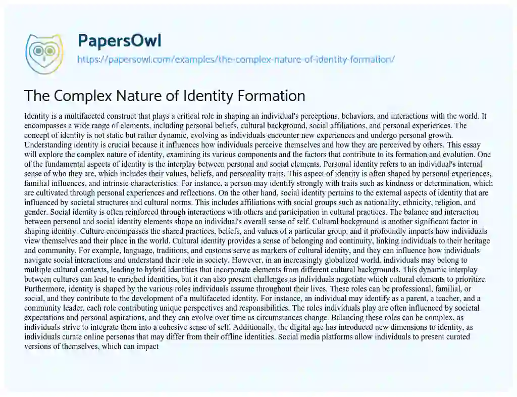 Essay on The Complex Nature of Identity Formation