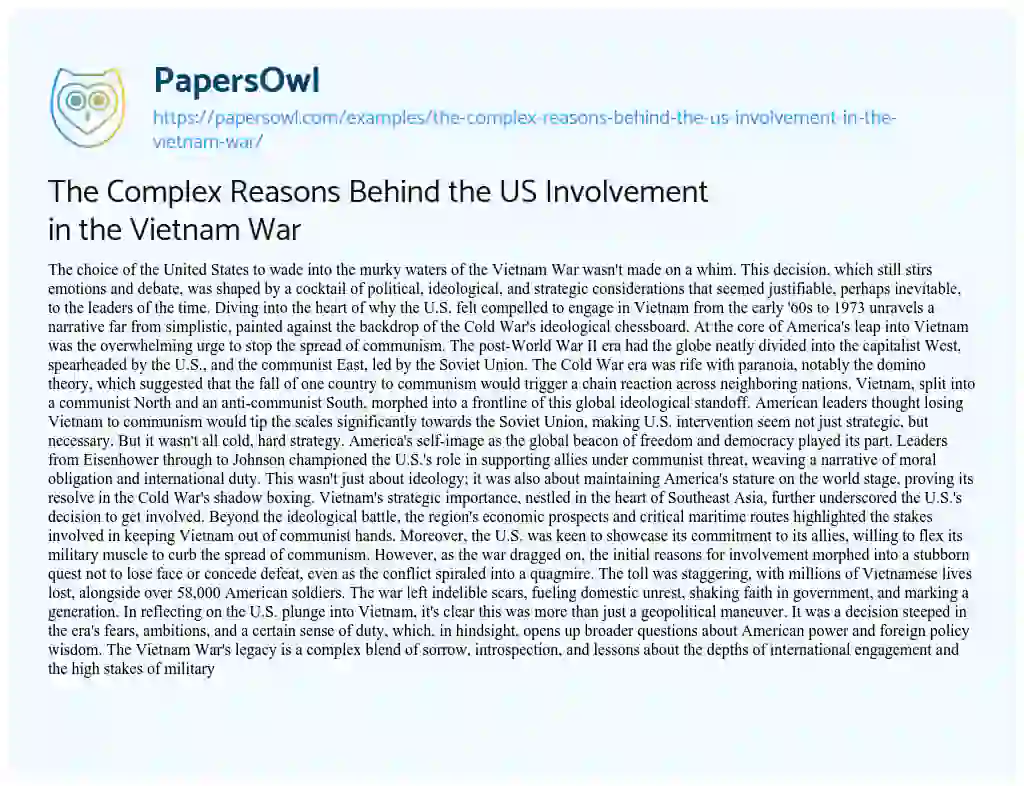 Essay on The Complex Reasons Behind the US Involvement in the Vietnam War