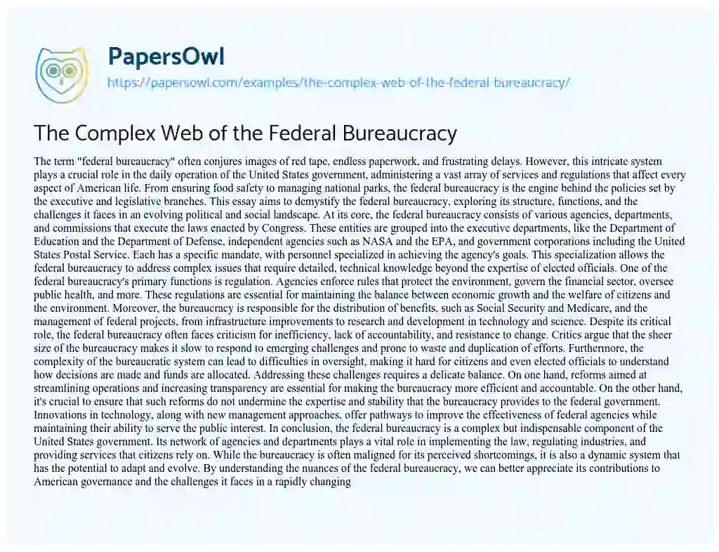 Essay on The Complex Web of the Federal Bureaucracy