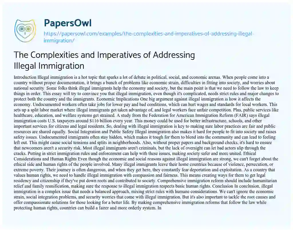 Essay on The Complexities and Imperatives of Addressing Illegal Immigration