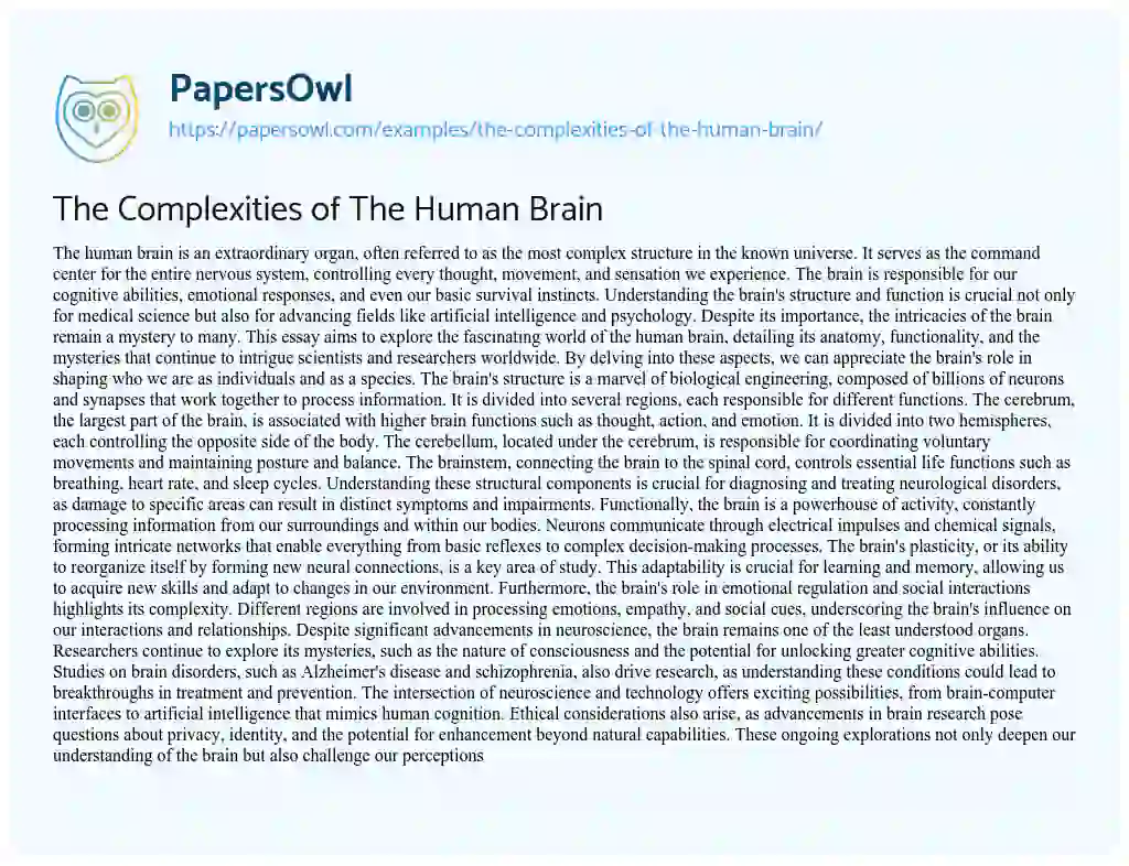 Essay on The Complexities of The Human Brain